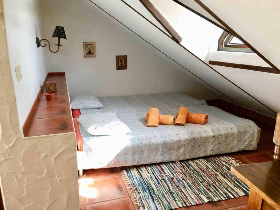 Casa La Florida Apartment Calera Luaran gambar